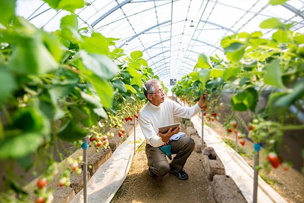 Radiology Support For Small Holder Farming